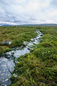 Превью обои ручей, камни, вода, поле, трава, природа