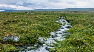 Превью обои ручей, камни, вода, поле, трава, природа