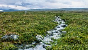 Превью обои ручей, камни, вода, поле, трава, природа