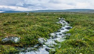 Превью обои ручей, камни, вода, поле, трава, природа