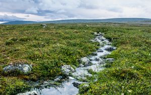 Превью обои ручей, камни, вода, поле, трава, природа