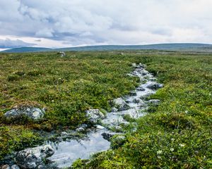 Превью обои ручей, камни, вода, поле, трава, природа