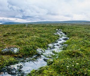 Превью обои ручей, камни, вода, поле, трава, природа