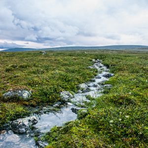 Превью обои ручей, камни, вода, поле, трава, природа