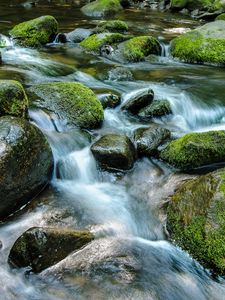 Превью обои ручей, камни, вода, природа, мох