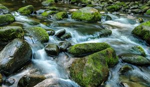 Превью обои ручей, камни, вода, природа, мох