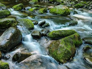 Превью обои ручей, камни, вода, природа, мох