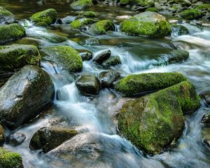 Превью обои ручей, камни, вода, природа, мох