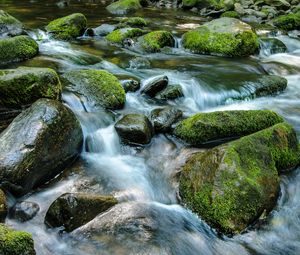 Превью обои ручей, камни, вода, природа, мох