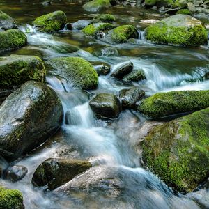 Превью обои ручей, камни, вода, природа, мох