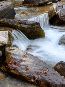 Превью обои ручей, камни, вода, листья, осень