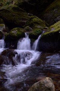 Превью обои ручей, камни, водопад, мох, природа