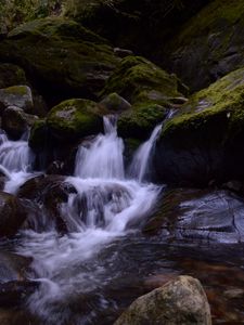 Превью обои ручей, камни, водопад, мох, природа