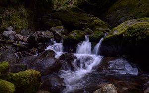 Превью обои ручей, камни, водопад, мох, природа