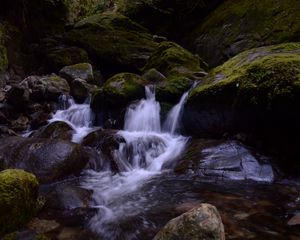 Превью обои ручей, камни, водопад, мох, природа