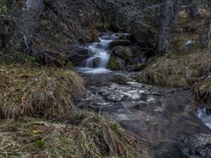 Превью обои ручей, каскад, трава, камни, природа