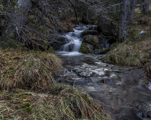 Превью обои ручей, каскад, трава, камни, природа