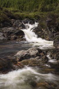 Превью обои ручей, каскад, вода, пена, камни, деревья