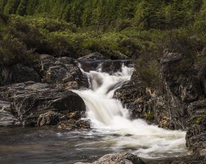 Превью обои ручей, каскад, вода, пена, камни, деревья