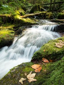 Превью обои ручей, каскад, водопад, трава, листья