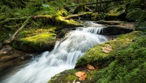 Превью обои ручей, каскад, водопад, трава, листья