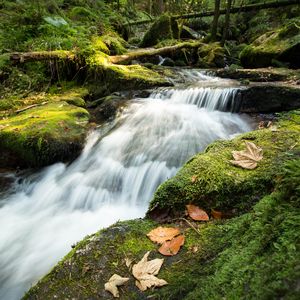 Превью обои ручей, каскад, водопад, трава, листья