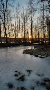 Превью обои ручей, лед, закат, деревья, природа