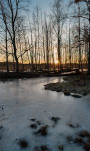 Превью обои ручей, лед, закат, деревья, природа