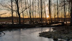 Превью обои ручей, лед, закат, деревья, природа