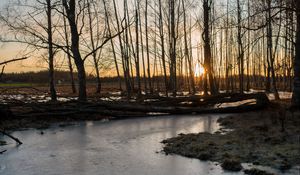 Превью обои ручей, лед, закат, деревья, природа