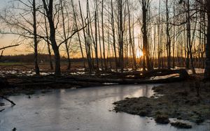 Превью обои ручей, лед, закат, деревья, природа