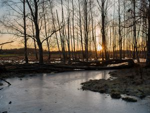 Превью обои ручей, лед, закат, деревья, природа