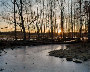 Превью обои ручей, лед, закат, деревья, природа