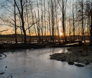 Превью обои ручей, лед, закат, деревья, природа