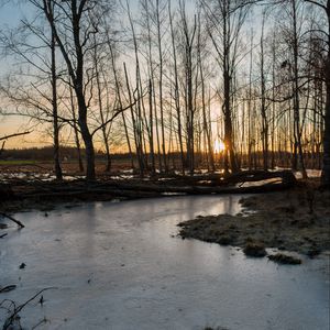 Превью обои ручей, лед, закат, деревья, природа