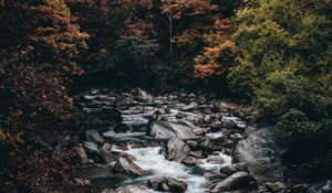 Превью обои ручей, лес, деревья, камни, вода