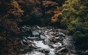 Превью обои ручей, лес, деревья, камни, вода