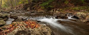 Превью обои ручей, лес, камни, осень, пейзаж