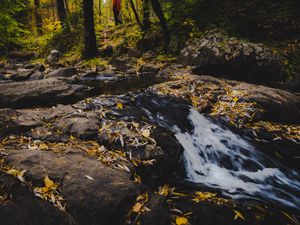 Превью обои ручей, пена, камни, листья, осень