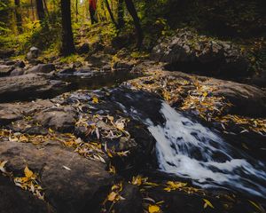 Превью обои ручей, пена, камни, листья, осень