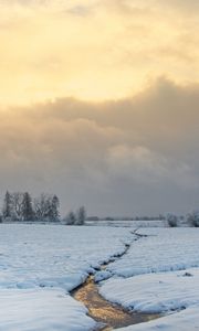 Превью обои ручей, поле, снег, деревья, зима, природа