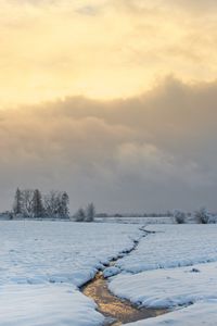 Превью обои ручей, поле, снег, деревья, зима, природа