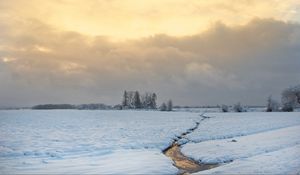 Превью обои ручей, поле, снег, деревья, зима, природа