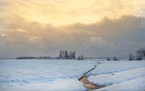 Превью обои ручей, поле, снег, деревья, зима, природа