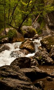 Превью обои ручей, река, камни, скалы, вода, деревья