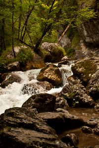 Превью обои ручей, река, камни, скалы, вода, деревья