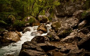 Превью обои ручей, река, камни, скалы, вода, деревья