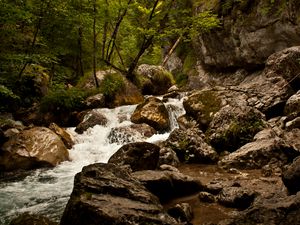 Превью обои ручей, река, камни, скалы, вода, деревья