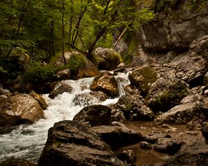 Превью обои ручей, река, камни, скалы, вода, деревья