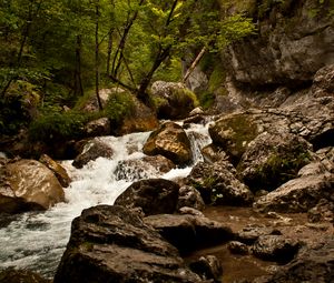 Превью обои ручей, река, камни, скалы, вода, деревья